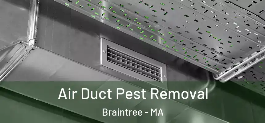 Air Duct Pest Removal Braintree - MA