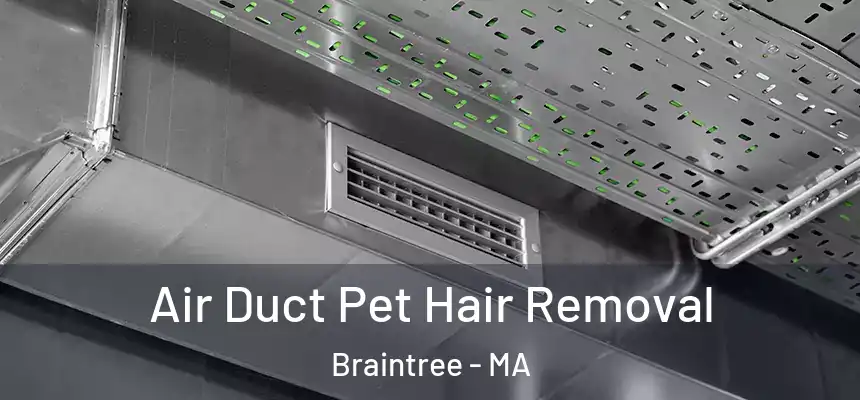 Air Duct Pet Hair Removal Braintree - MA