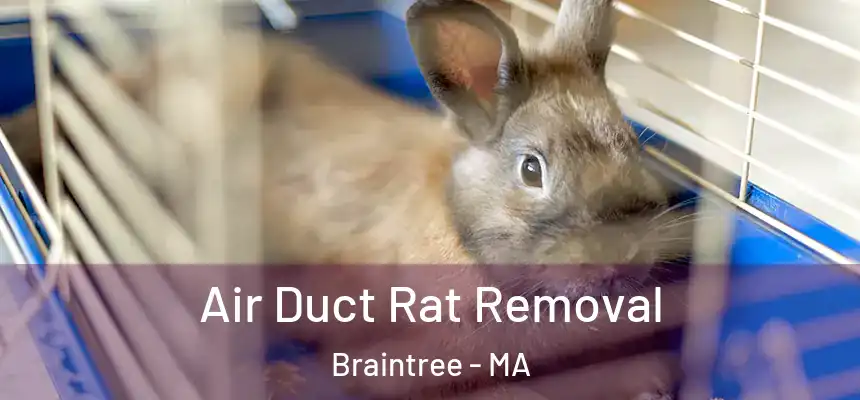  Air Duct Rat Removal Braintree - MA