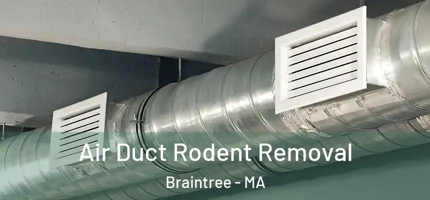  Air Duct Rodent Removal Braintree - MA