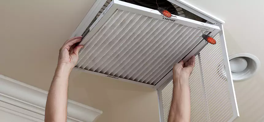 Preventive Cockroach-Proofing for Ducts in Braintree