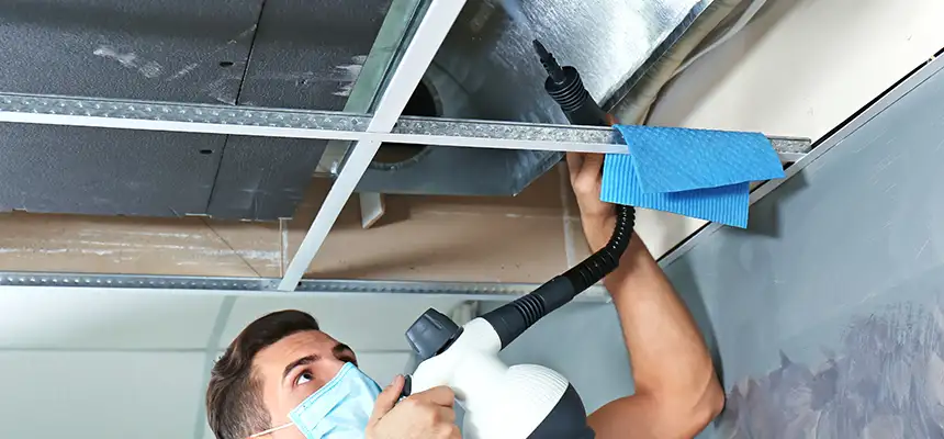 Our Air Duct Rodent Removal Services in Braintree, MA
