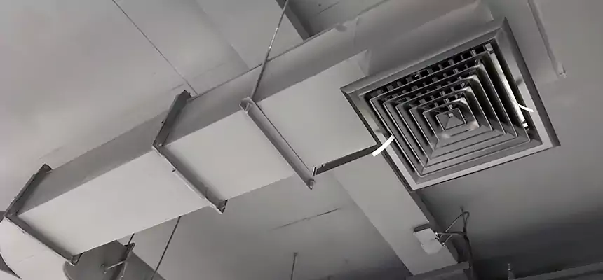 Restorative Allergy Relief Vent Cleaning – Coil, Blower & Housing Detail in Braintree