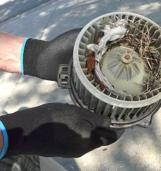 About Air Duct Mice Removal in Braintree, MA