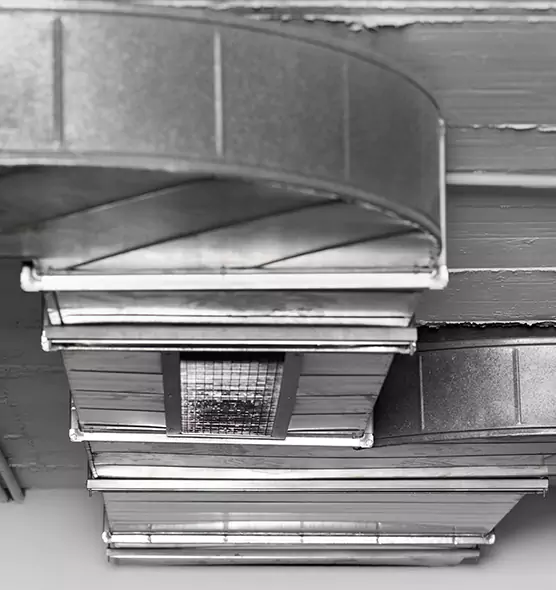 Professional Air Duct Pest Removal in Braintree, MA