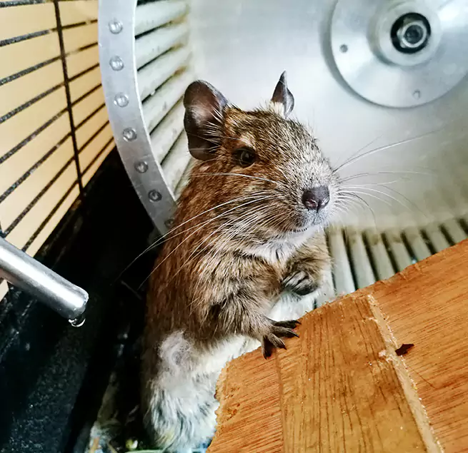 Why Homeowners & Businesses Trust Us Braintree, MA