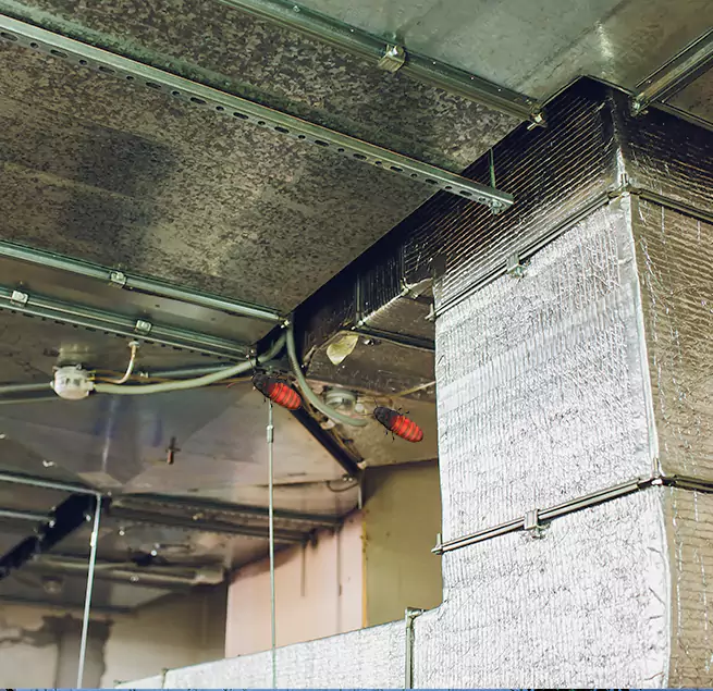 Why Homeowners & Businesses Trust Us Braintree, MA?